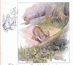 Zeit, dass ich ein Zuhause hatte